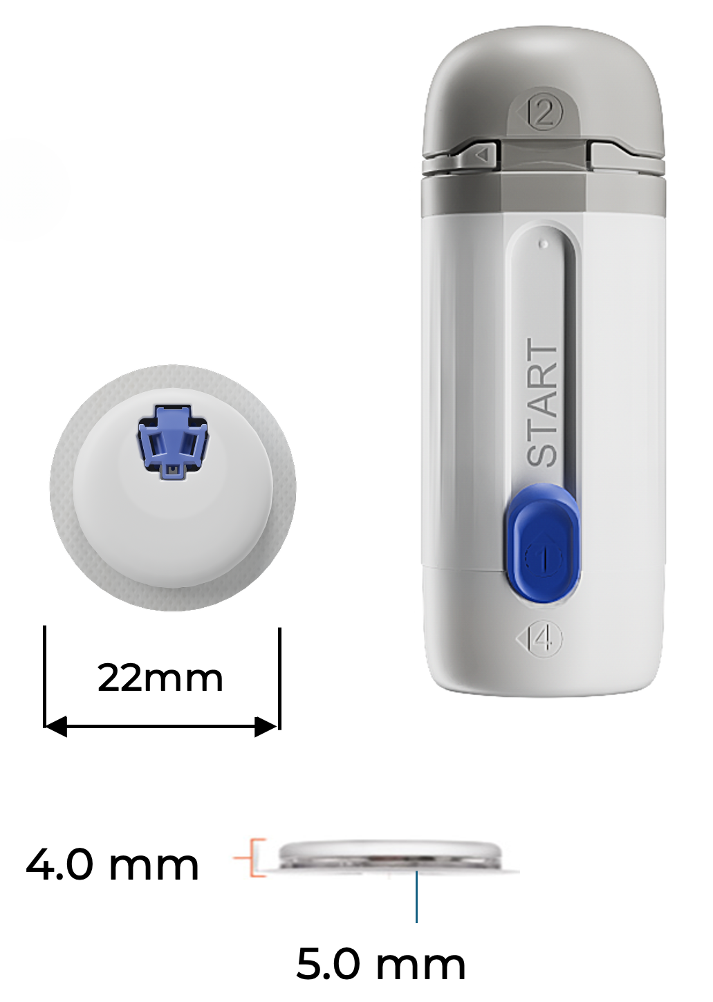 cgm size